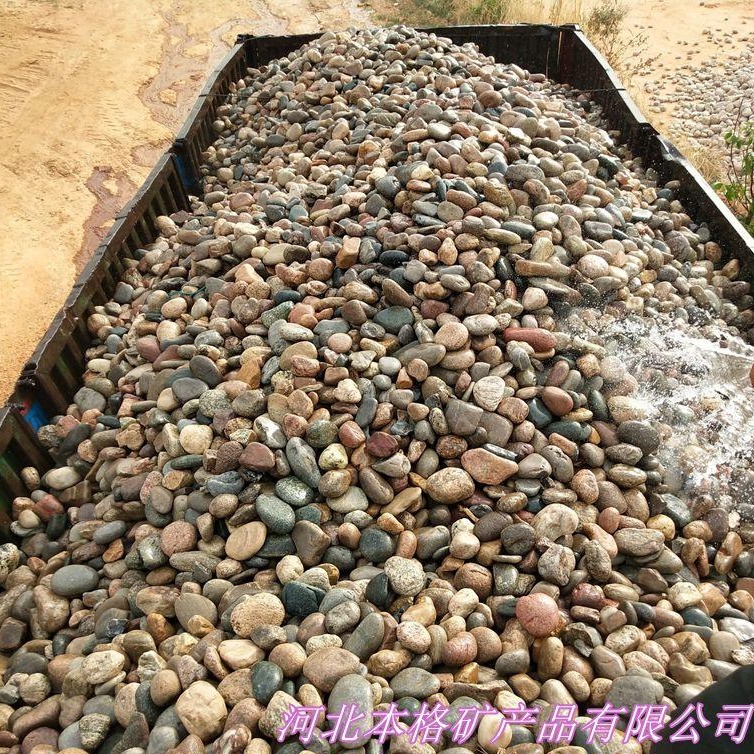 河卵石 变压器用5-8河卵石 水处理鹅卵石 鹅卵石滤料 大个鹅卵石临沂本格 厂家批发图片
