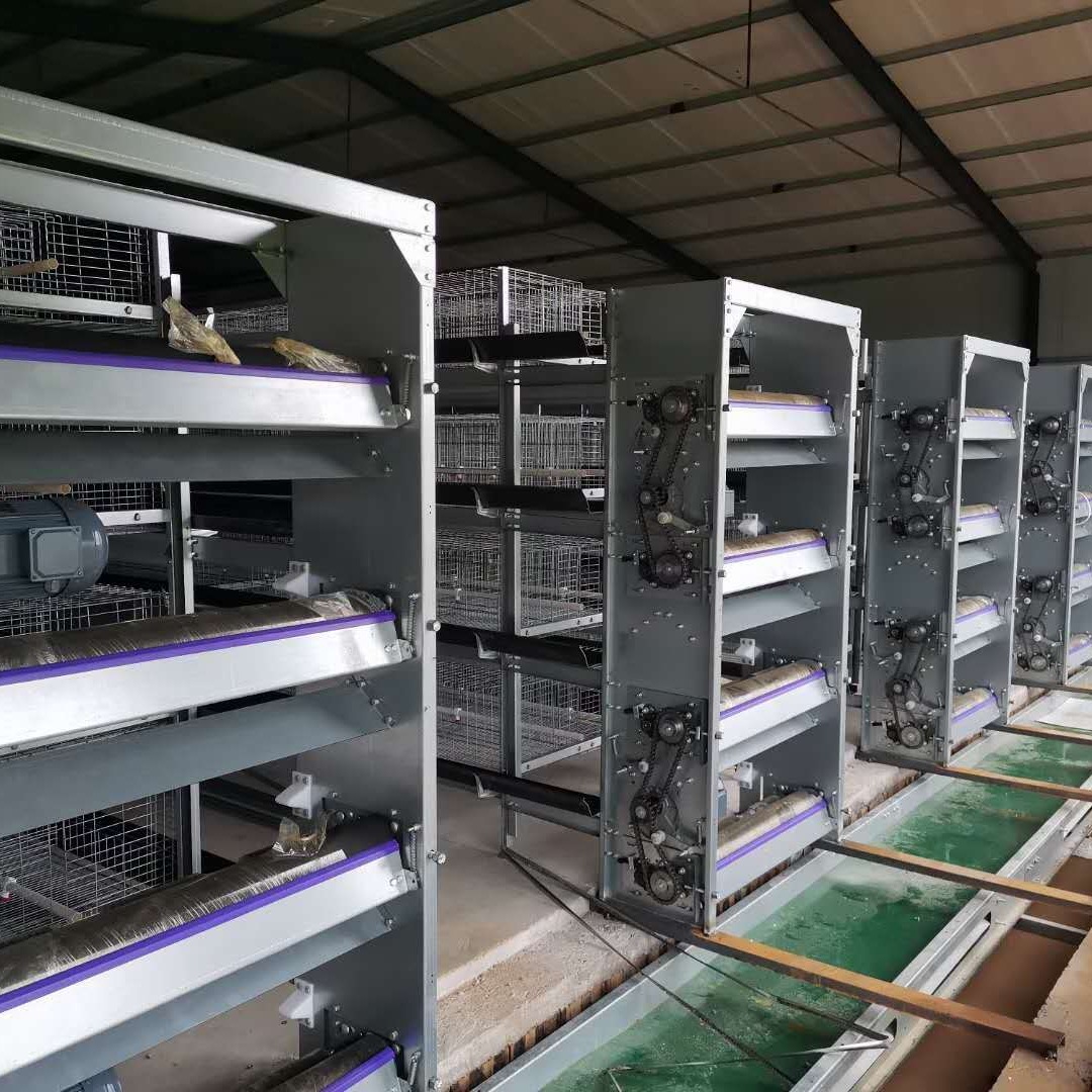 信必达 三层元宝笼清粪 输送带式清粪机 自动化养鸡养殖设备