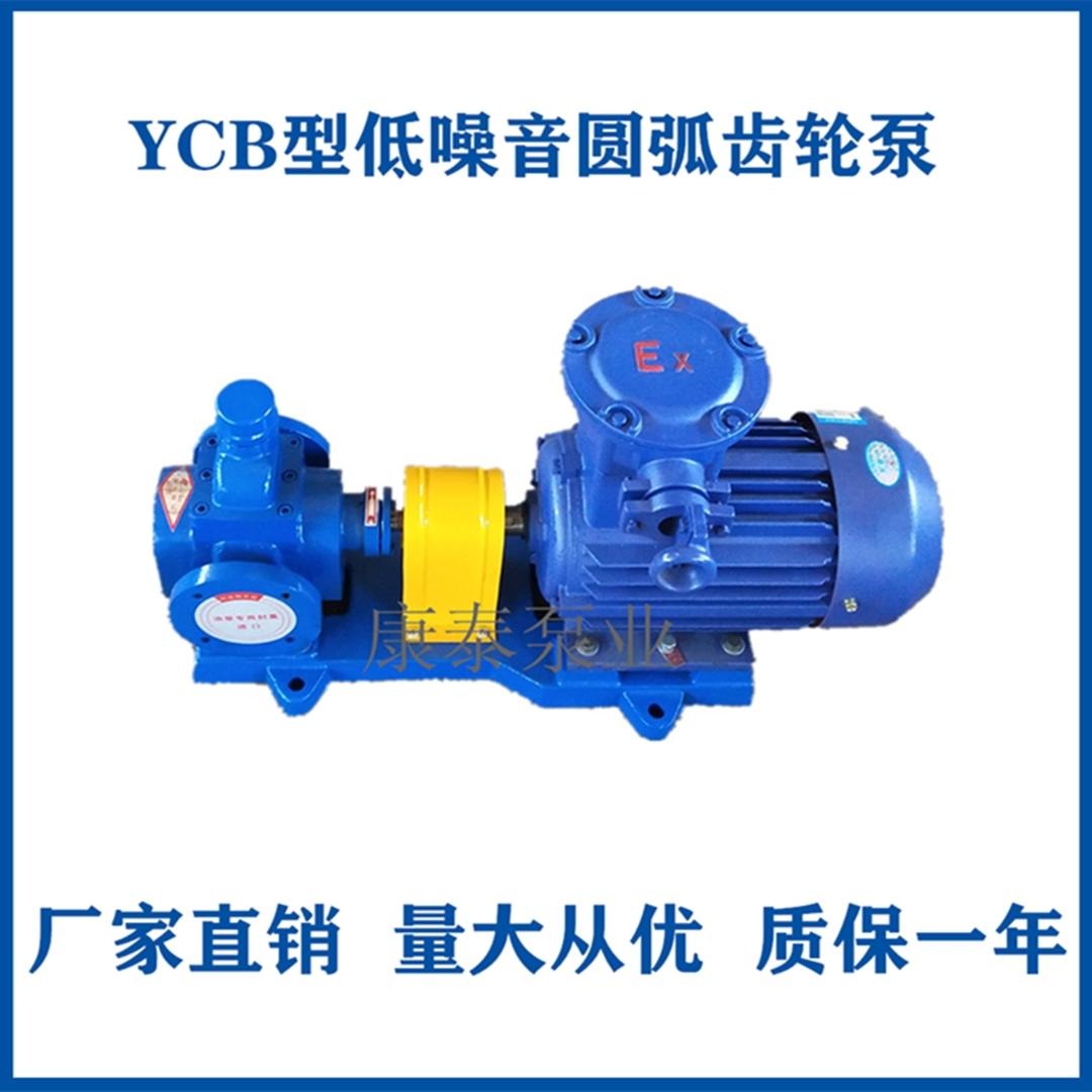 YCB60/0.6圆弧齿轮泵 圆弧齿轮油泵 60立方齿轮油泵 油厂卸油泵 管道输油泵