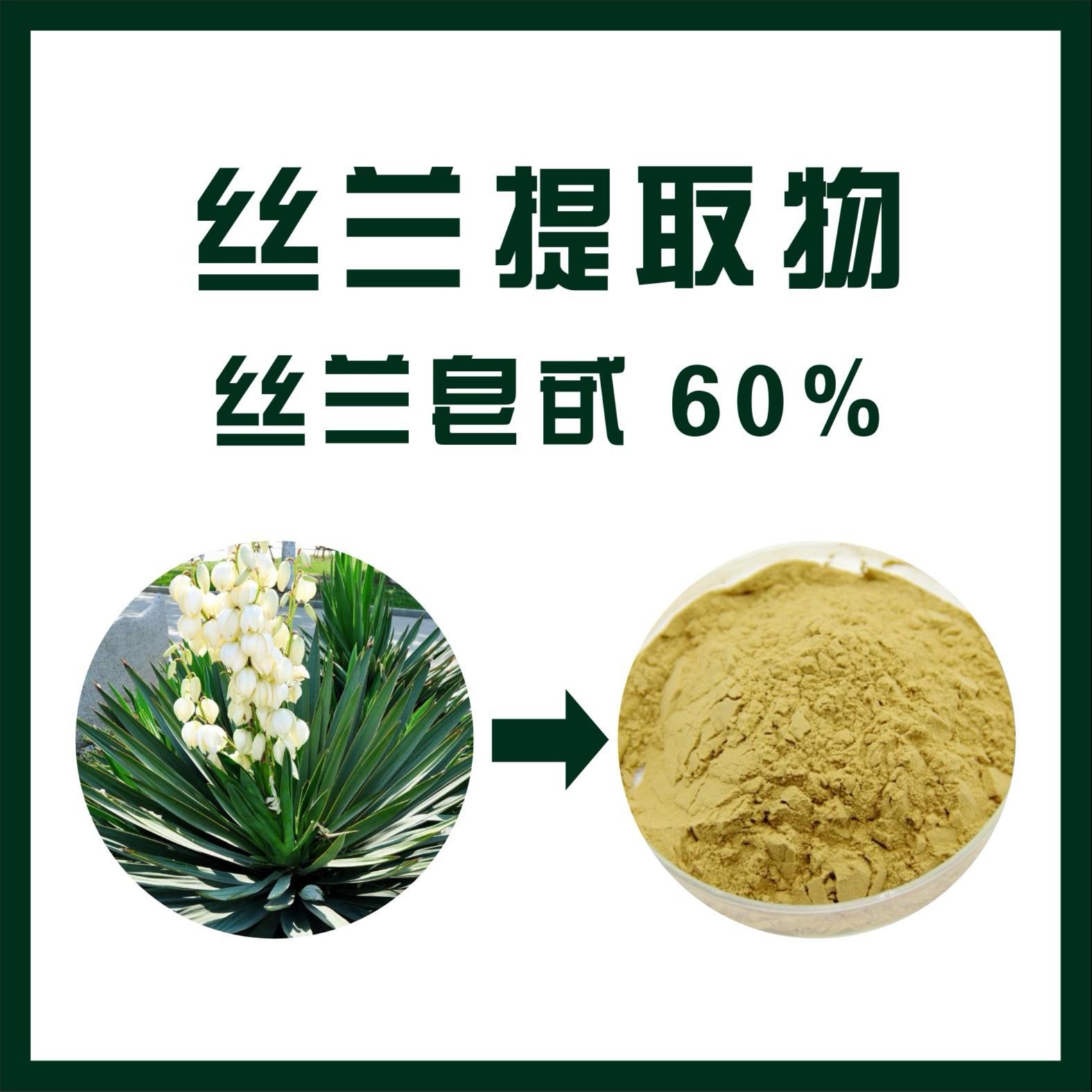 厂家现货供应 丝兰皂甙60% 丝兰提取物 喷雾干燥工艺 陕西新天域生产厂家