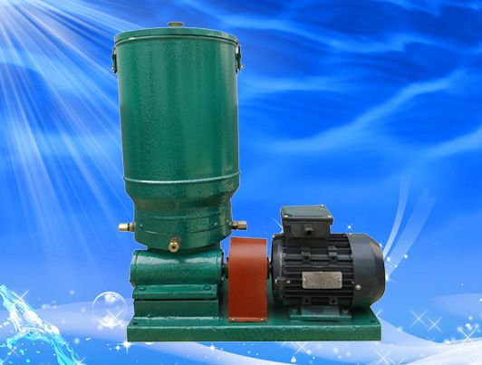 我厂专业生产电动干油泵 润滑泵 油泵 柱塞泵等各类润滑设备 华懋润滑GDB-1-20示例图2