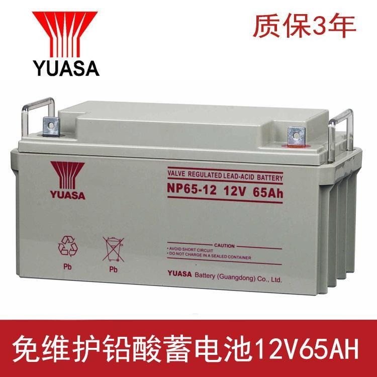 汤浅蓄电池NP65-12 12V65Ah阀控密封式铅酸蓄电池 UPS/EPS应急电源专用 参数及报价