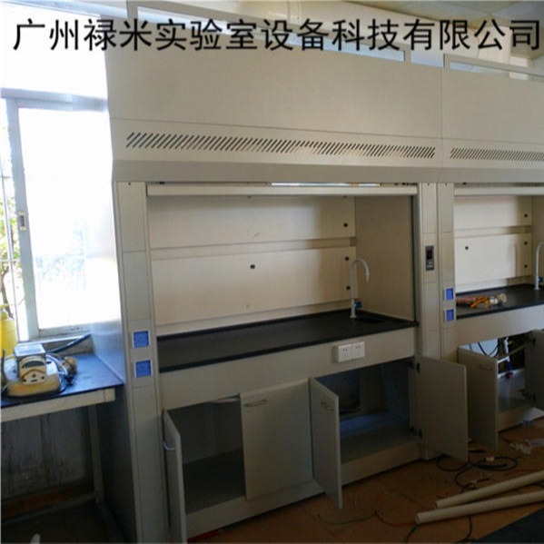 禄米实验室生产加工理化板台面实验室全钢通风柜 通风橱LM-TFG613
