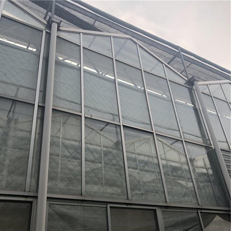 博伟 玻璃温室建设 农业观光生态温室 生态温室