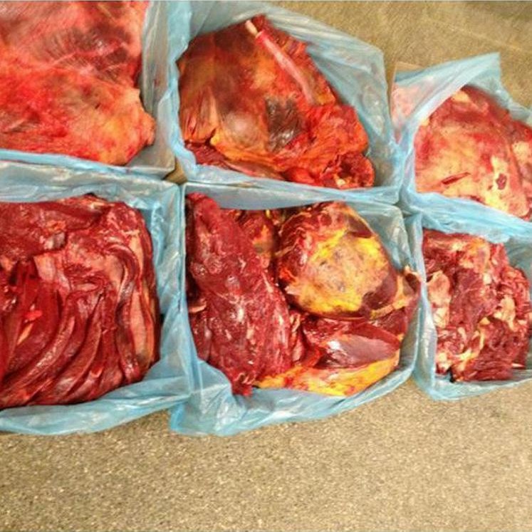 厂家直销进口蒙古马肉草原新鲜现杀剔骨马肉有机马肉