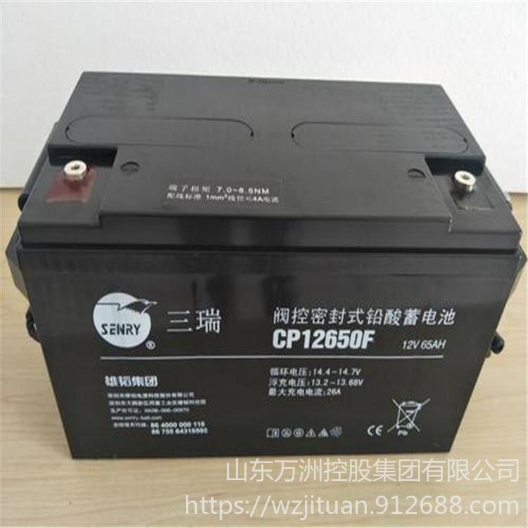 三瑞蓄电池CP12650F 12V65AH铅酸免维护蓄电池 太阳能光伏发电设备专用 产品报价