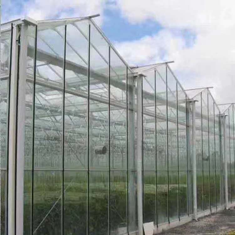 青州玻璃温室 玻璃温室大棚建设 玻璃连栋温室 青州玻璃温室制造厂商图片