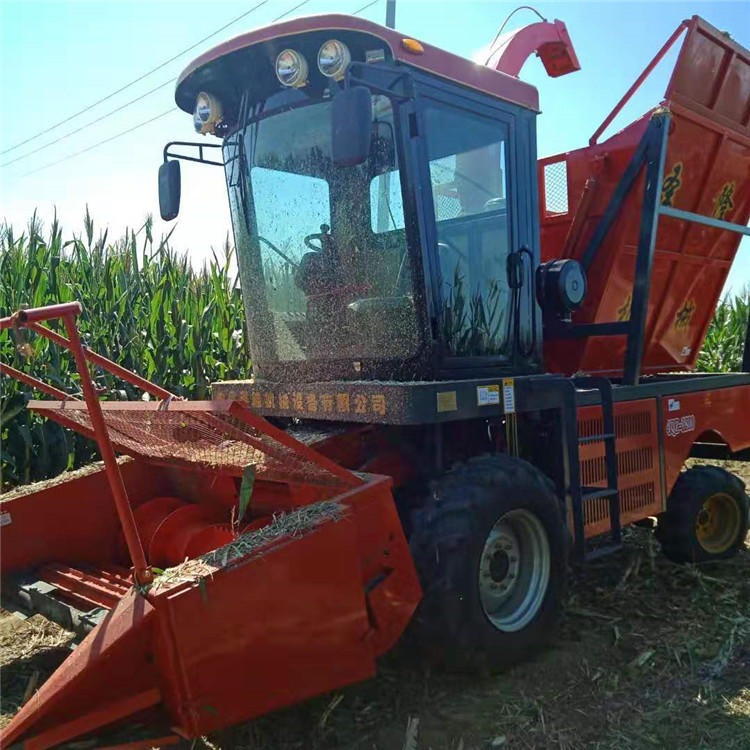 圣隆4QZ-1800自走式青饲料收获机 大型玉米秸秆青贮机