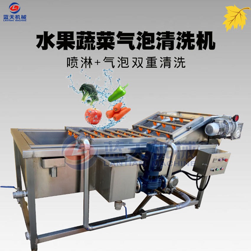 蓝天水果蔬菜气泡清洗机 叶类蔬菜气泡清洗机 全自动气泡洗菜机生产商LT-QP-QXJ1