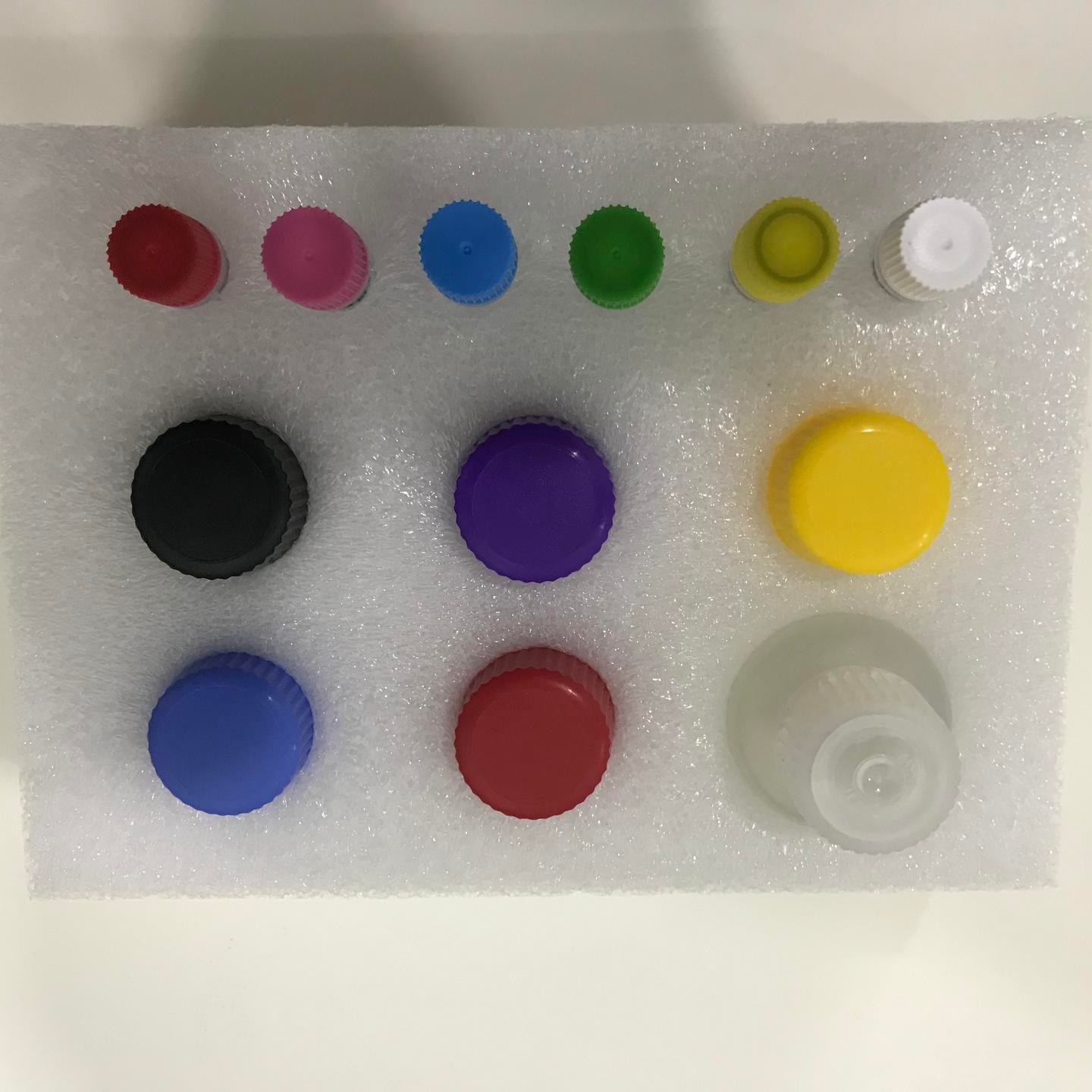睿信生物  小鼠基膜聚糖(LUM)(Lumican)elisa试剂盒图片