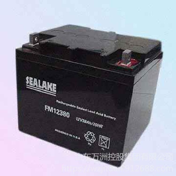 SEALAKE海湖蓄电池FM12380 铅酸蓄电池12V38AH 直流屏UPS备用电源专用 质保三年