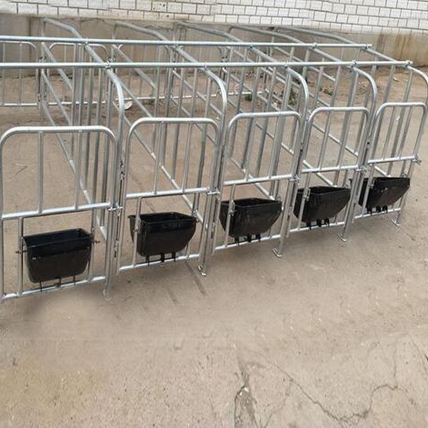 世昌2019新款定位栏 母猪定位栏厂家 母猪限位栏供应 猪用定位栏食槽 热镀锌定位栏