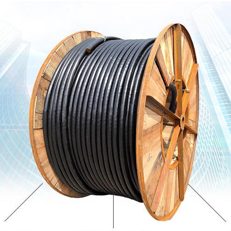 ZA-RVV铠装电缆 小猫牌 2×4.0 3×4.0 4×4.0阻燃控制电缆 ZA-RVV22阻燃通信电源电缆