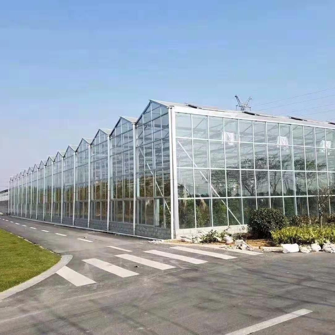 玻璃温室 种植玻璃温室 育苗玻璃大棚 博伟