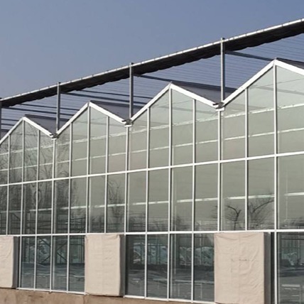 玻璃温室大棚 智能玻璃温室 现代农业大棚 蔬菜花卉种植 智能温室大棚 蔬菜温室大棚