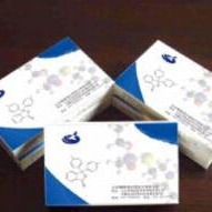 人胱硫醚β-合酶试剂盒 CBS试剂盒 胱硫醚β-合酶ELISA试剂盒 厂家直销图片