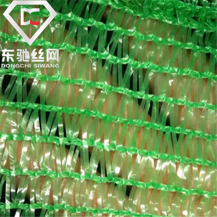 绿化网 聚酯绿化网 盖土绿网厂家优质 河北东驰