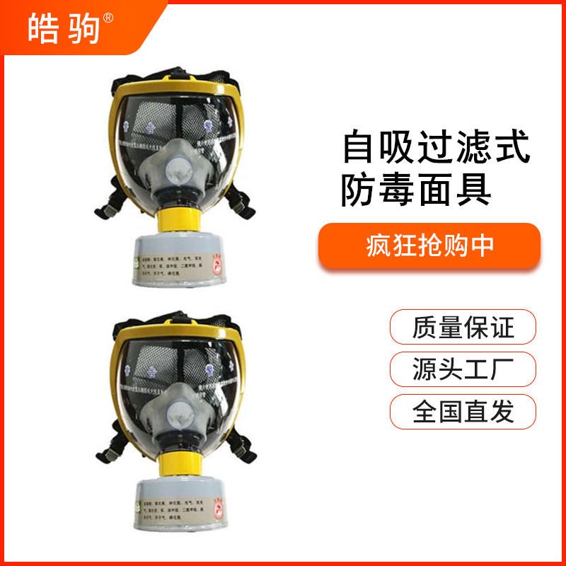 HJF05全面型呼吸防护器过滤式面罩自吸过滤式防毒面具GB2890-2009防护服配套呼吸面具配滤毒罐全面型防护面具双滤