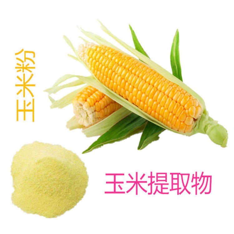 玉米提取物 玉米粉 玉米浓缩粉 斯诺特生物图片