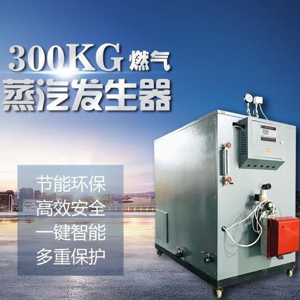 200公斤300公斤卧式燃气蒸汽发生器厂家