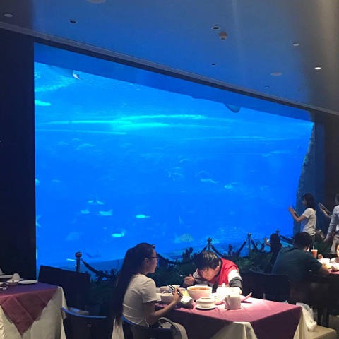 lanhu海洋馆设计水族馆设计 海洋馆施工水族工程 海洋馆设备海洋馆造景