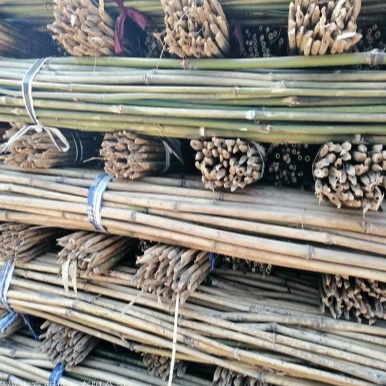 京西竹业 厂家供应2.5米长的豇豆架竿  竹架竿图片