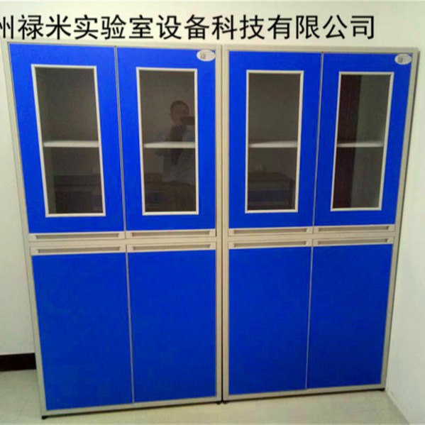 禄米 实验室储存柜 铝木结构药品柜  LM-SJG52933
