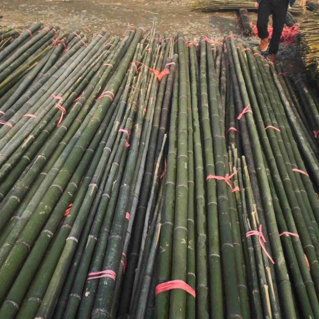 销售各种规格大竹竿7-11米，大棚竹竿4-8米，竹片1-5米