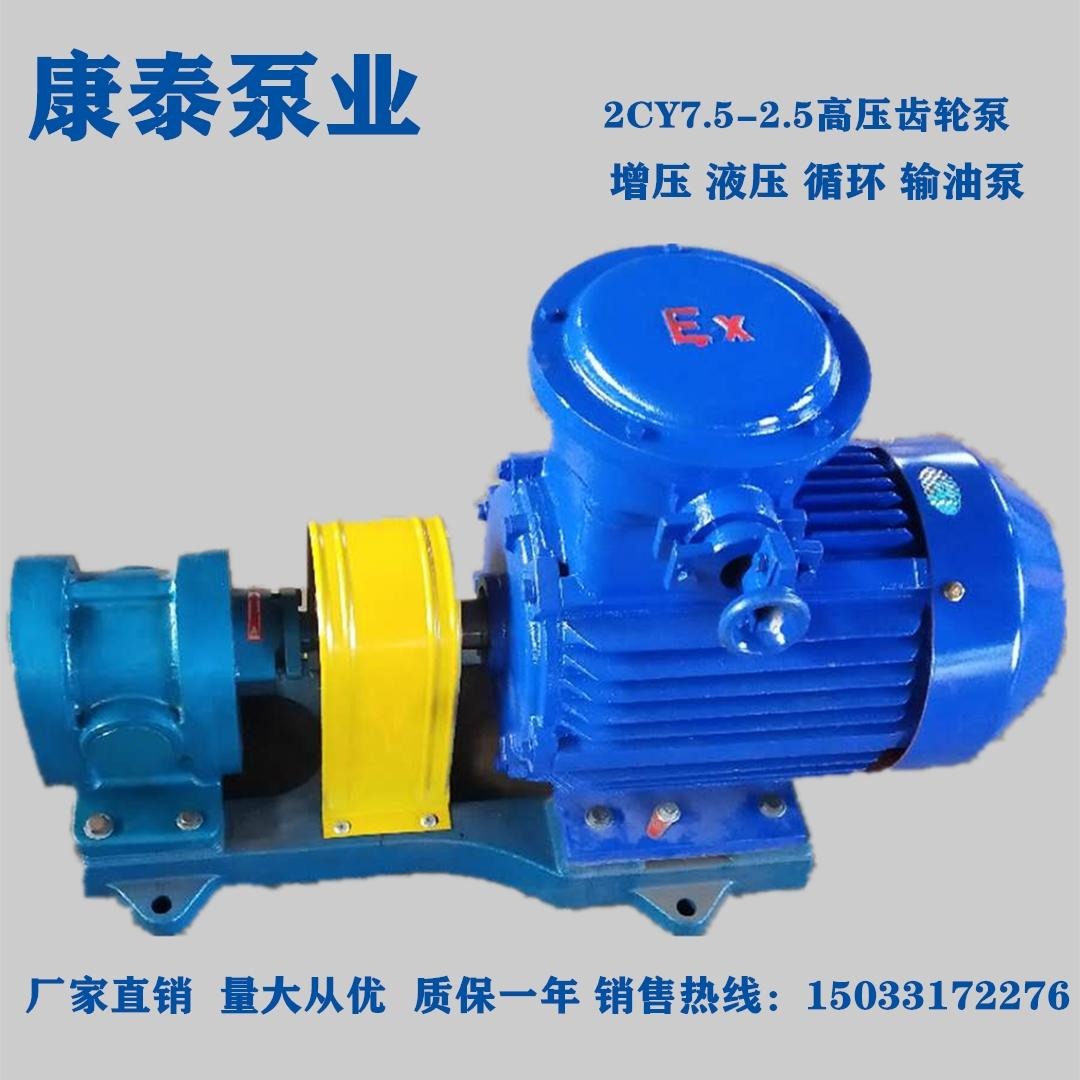 热销齿轮泵 2CY2.1/2.5中低压齿轮泵 齿轮式输油泵 电动燃油泵