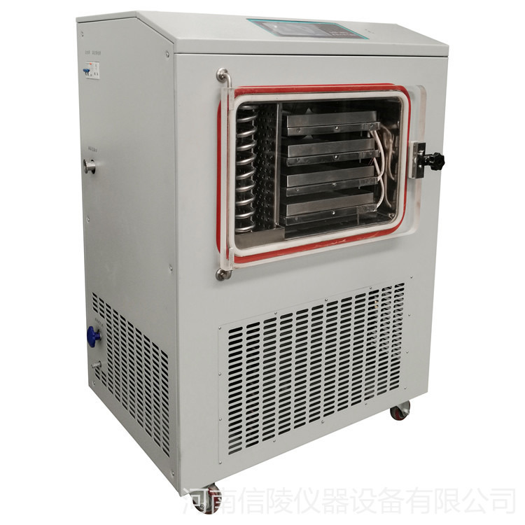 虫草冷冻干燥机 LGJ-30FD中试虫草冷冻干燥机 虫草低温真空冻干机