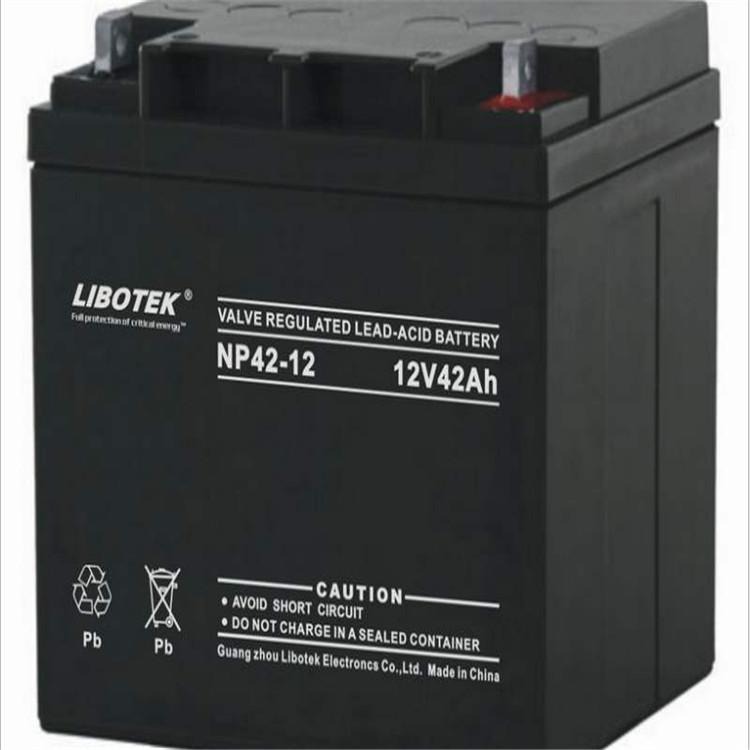 LIBOTEK力博特蓄电池12V24AH力博特NP24-12免维护铅酸蓄电池 UPS电源 EPS电源