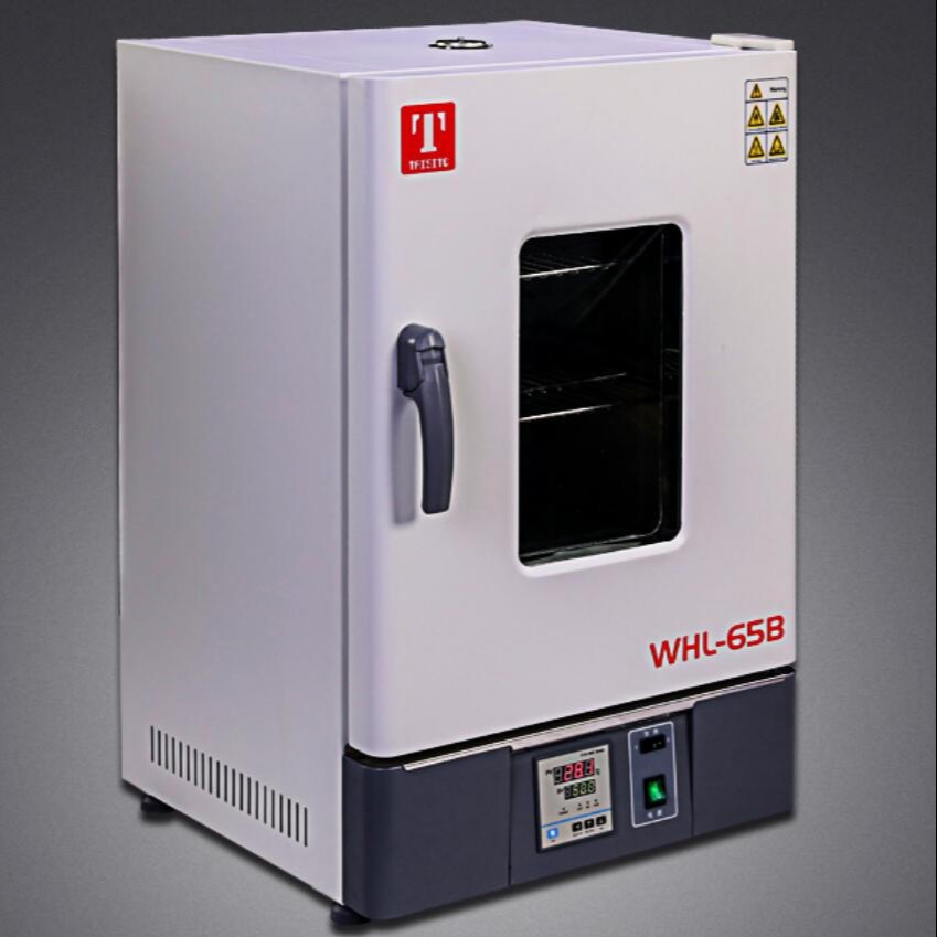 天津泰斯特 电热恒温干燥箱  WHLL-125BE  询价有折扣  干燥箱 全国销售 