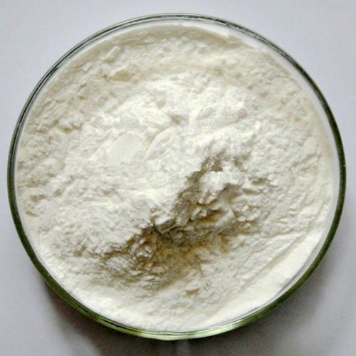 陕西新天域生物  虎杖提取物/98%白藜芦醇