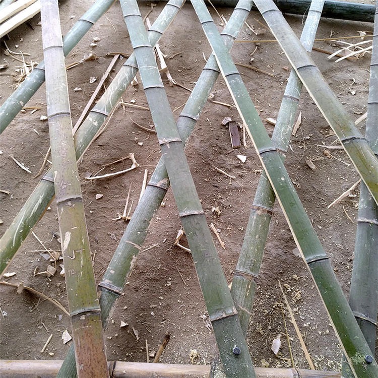批发各种竹篱笆--朱篱笆围栏--手工竹栅栏--价格优惠图片