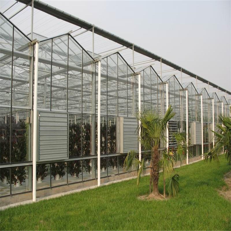 博伟 玻璃温室 蔬菜玻璃温室 玻璃温室大棚建造