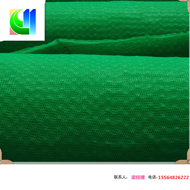 安徽滁州 em3三维植被网 三维土工网垫 生产厂家