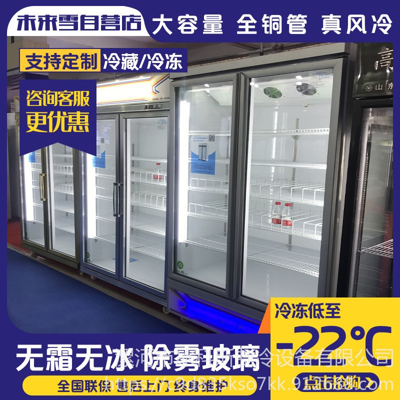 冰科斯-WLX-LSLD-26供应立式冰柜 冰激淋展示柜 商用冷藏冷冻柜冰柜 各种制冷保鲜展示柜