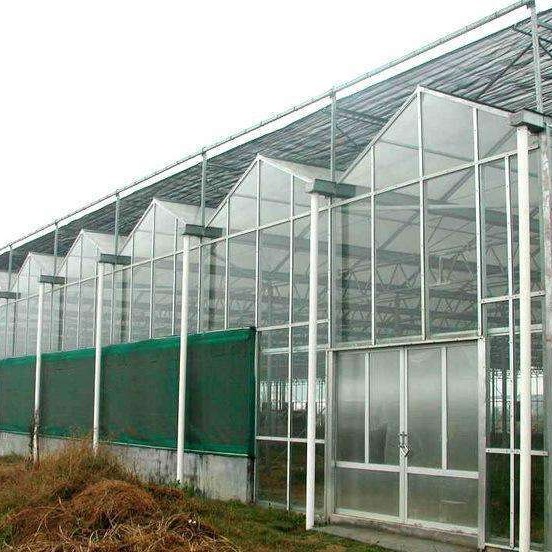 博伟 生态玻璃温室价格 玻璃温室大棚 玻璃温室大棚厂家