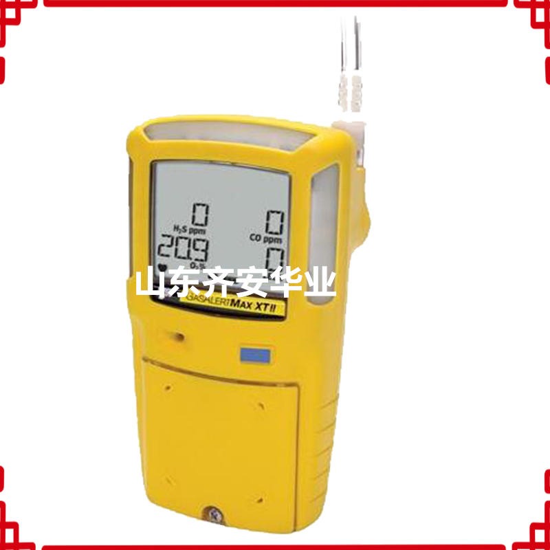 BW泵吸式GasAlertMax XTII多合一气体检测仪/气体报警器