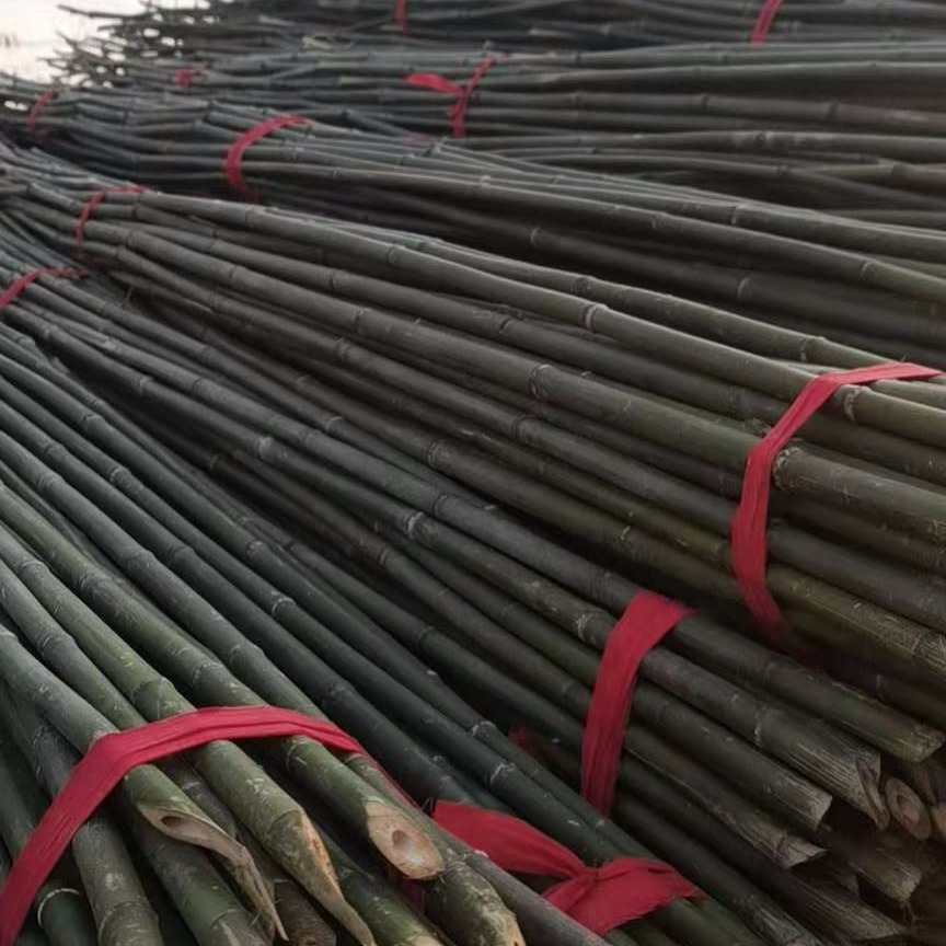 竹韵竹制品厂家 1.2米长苗木牵引  月季花爬藤支撑用竹子现货