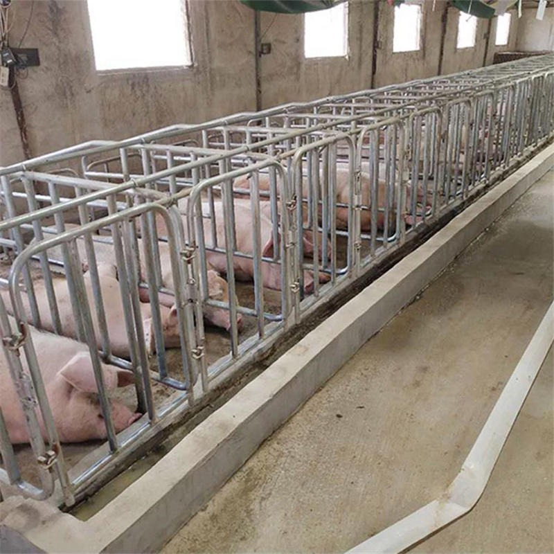 燕北机械生产 母猪限位栏 大猪定位栏 养殖定位栏 猪用定位栏 可以