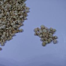 天然玉米芯磨料使用 丹东优质抛光材料玉米芯磨料现货供应价格 易碎工艺品抛光用玉米芯磨料