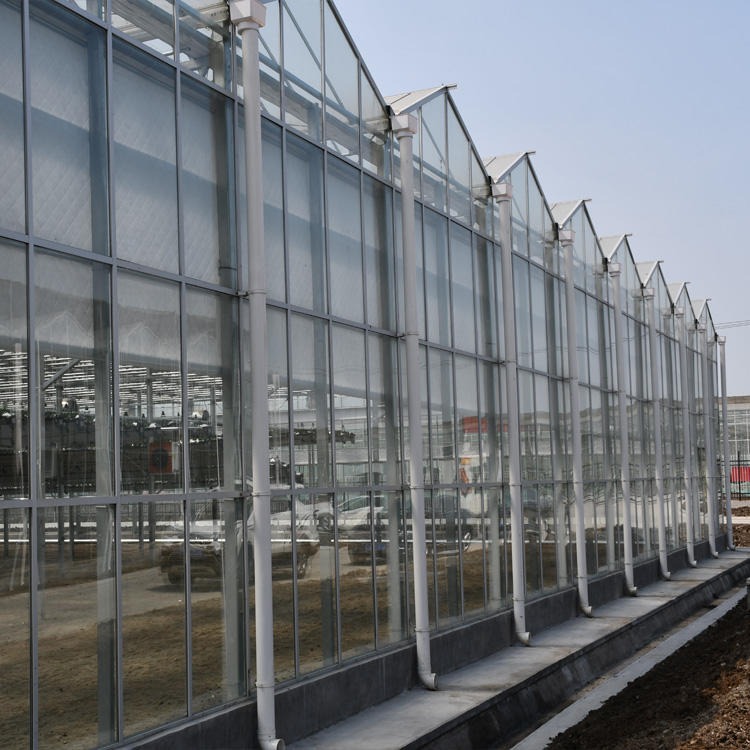 建达 JD 阳光板温室 pc板温室厂家 阳光板文络大棚 承接各种温室大棚配件建设