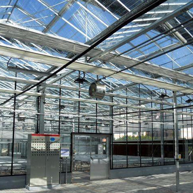 衡阳博伟玻璃温室 智能温室 连栋温室建设 服务周到