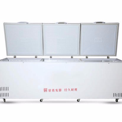 BL-W1800CD化学品防爆冰箱制造商低温零下存储防爆冰柜叶其电器