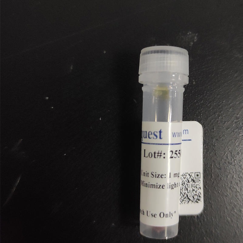 AAT Bioquest Q4ever Green核酸染料 2000X DMSO 溶液 货号17609