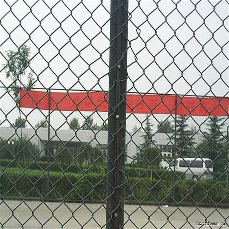 厂家直销 河北体育场围网护栏 门球场围网护栏 实用安全安装指导