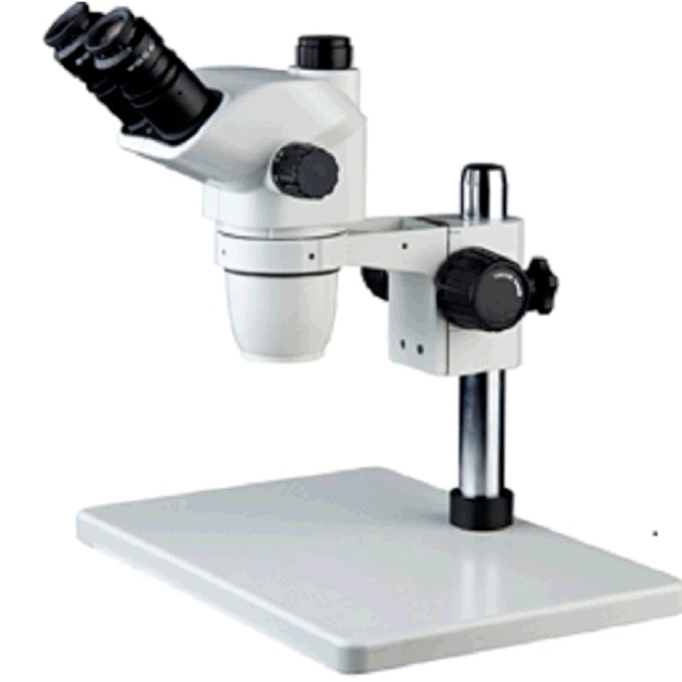 SMZ755T 解剖显微镜 国产SMZ755T解剖显微镜 临沂