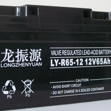 龙振源蓄电池LY-R65-12 龙振源蓄电池12V65AH直流屏电池免维护 UPS机房通讯专用电池