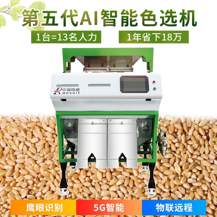 智能小型小麦色选机 双通道小麦色选机 6SXZ-136 中瑞微视色选机厂家直销 专业色选、筛选小麦  价格优惠